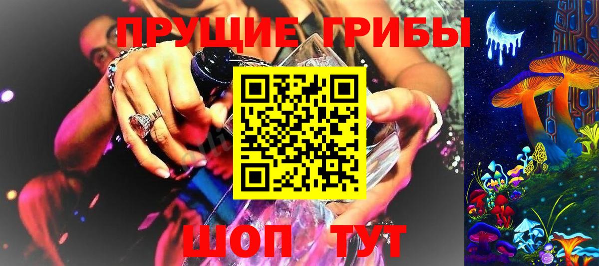 Петрозаводск  Псилоцибиновые грибы GOLDEN TEACHER  Вход с VPN 